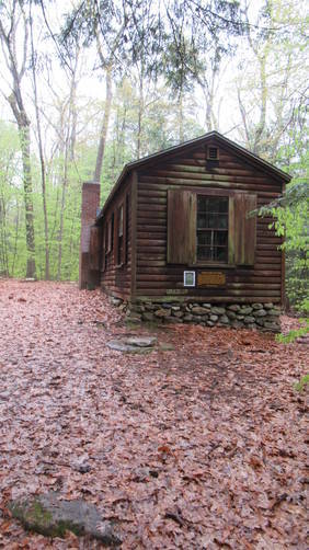 Colony cabin