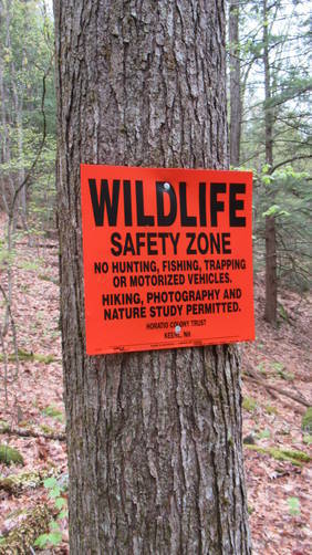 Wildlife Safety Zone