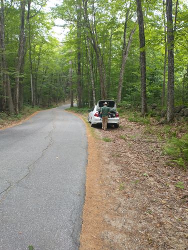 Red Hill River Conservation Area Trails - Red Hill River Conservation Area album
