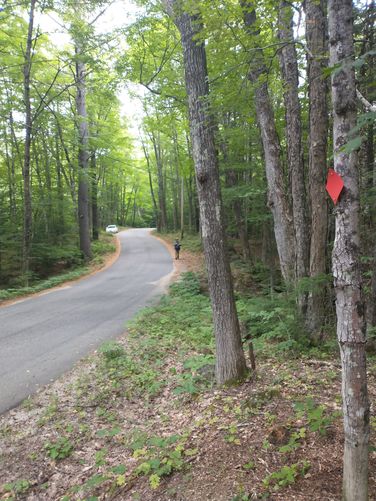 The distance from where we parked roadside to the trail entrance along Great Rock Road.