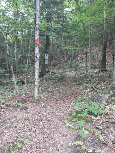 Welcome sign posted off the road along the start of the trail