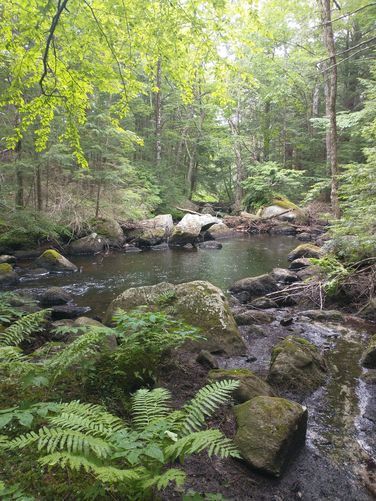 Red Hill River Loop Hike default picture
