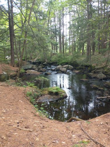 A nice spot to take a break and cool off along the Red Hill River Trail 