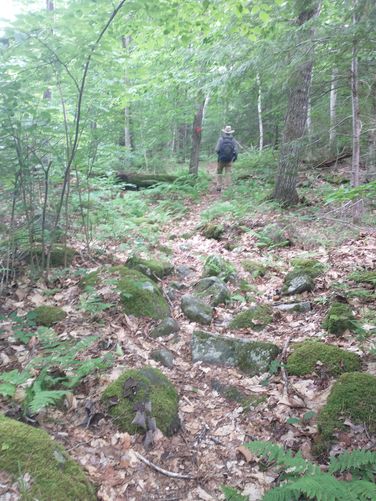 Trail substrate is rocky in sections