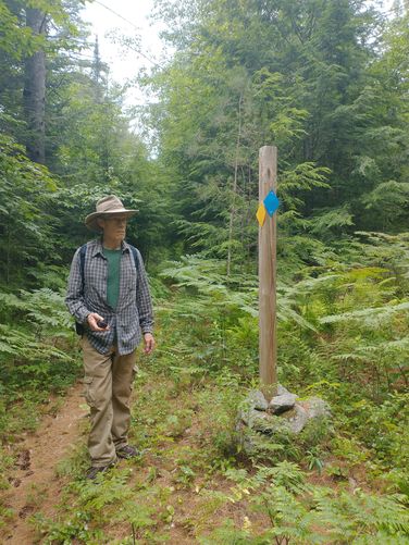 Junction marker for the Connector and Jocelyn's Trail 