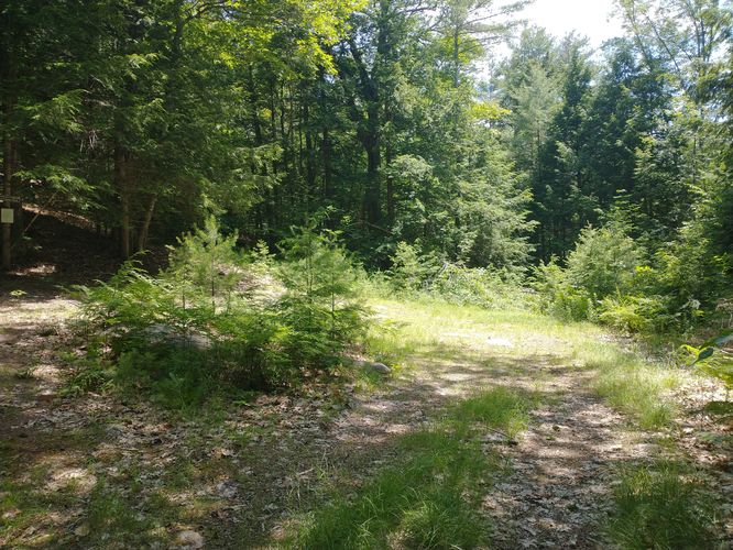 Small parking area at the Jocelyn's Trail trailhead 
