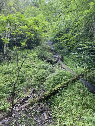 Red Ledge Falls (dried up mid-June), approx. 30-feet tall. Private land - stay on-trail