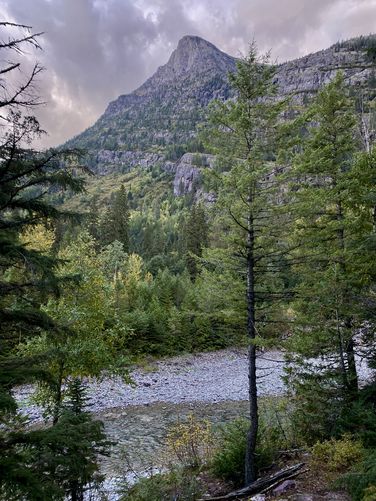 View of McDonald Creek from the bench