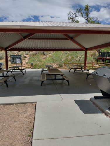 One of several picnic areas