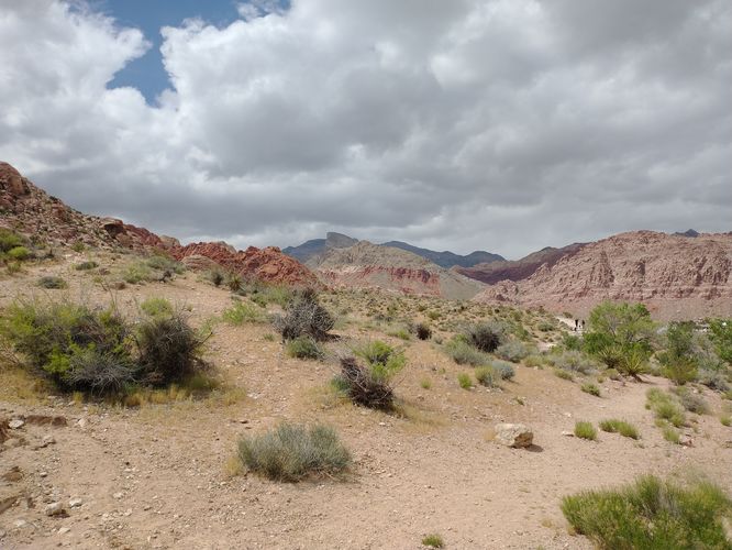 Desert views from the Boardwalk 