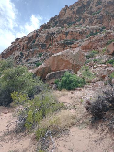 Sandstone formations along boardwalk 
