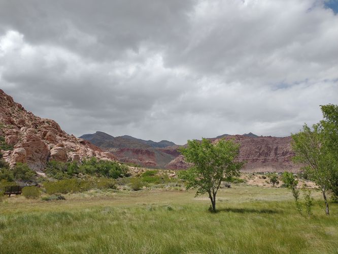 Default image for Red Spring Boardwalk, a 0.6-mile trail in Calico Basin, NV (US)