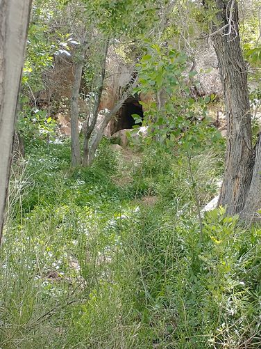 Cave where Spring is located 