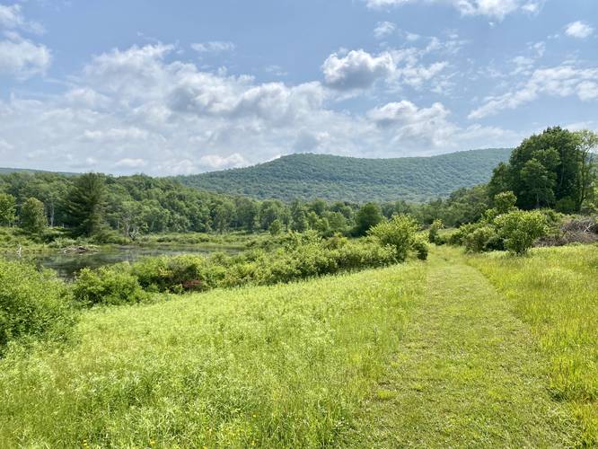 Meadow, kettle hole, and mountain view