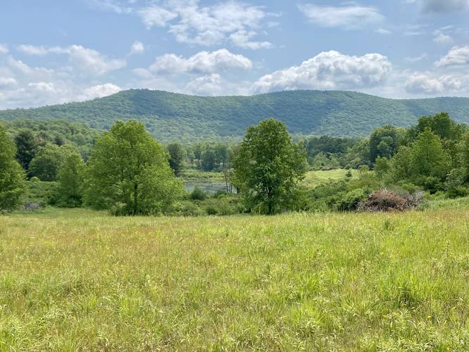 Mountain, kettle hole, and meadow view
