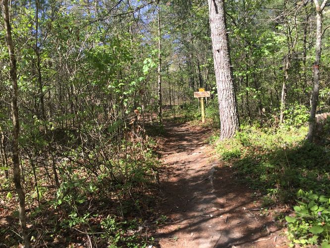 Picture 18 of Reddish Knob Hike 050317