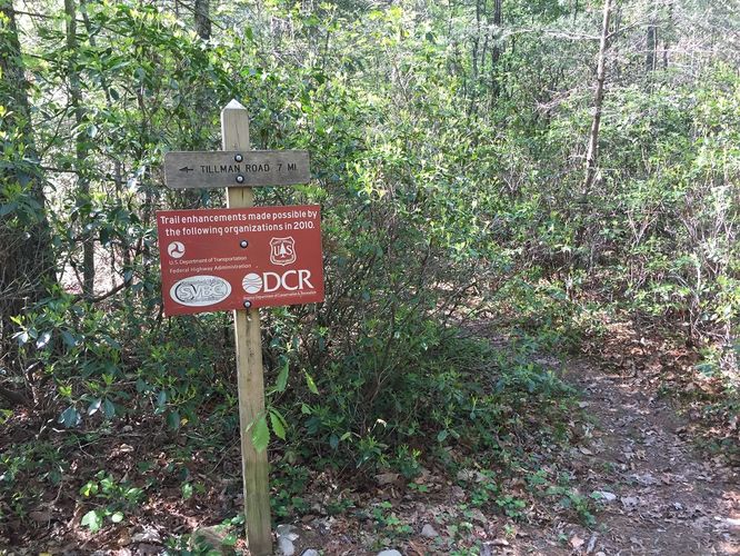 Picture 17 of Reddish Knob Hike 050317