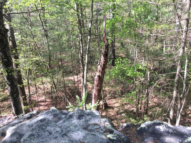 Picture 15 of Reddish Knob Hike 050317