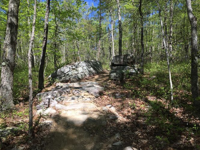 Picture 14 of Reddish Knob Hike 050317