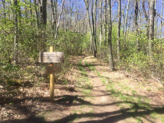 Picture 13 of Reddish Knob Hike 050317