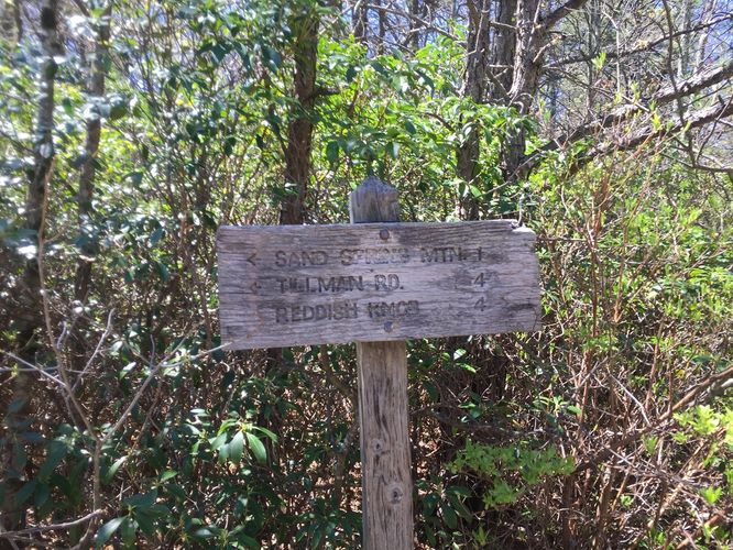 Picture 11 of Reddish Knob Hike 050317