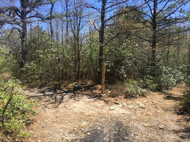 Picture 10 of Reddish Knob Hike 050317