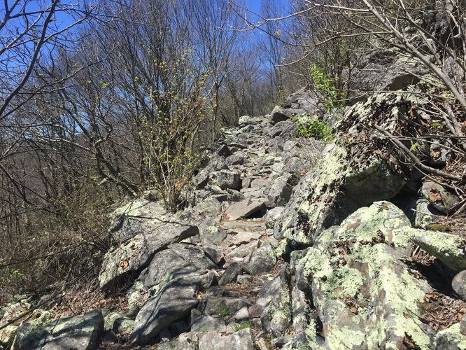Picture 8 of Reddish Knob Hike 050317