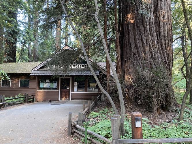 Visitor center amongst ancient redwoods