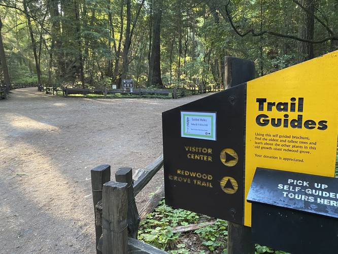 Redwood Grove Trail trailhead