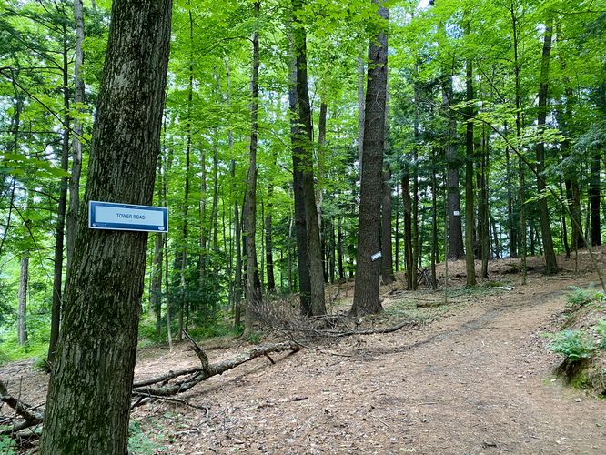 Tower Road trail