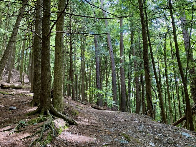 Hiking up to Retreat Tower