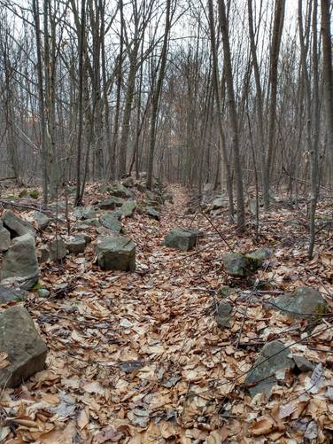 Stone Field on Upper Windfall Trail