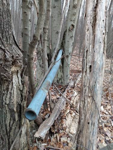 Gas Pipe in Tree