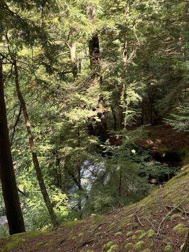 Top of Rexford Falls (approx. 40-feet tall)