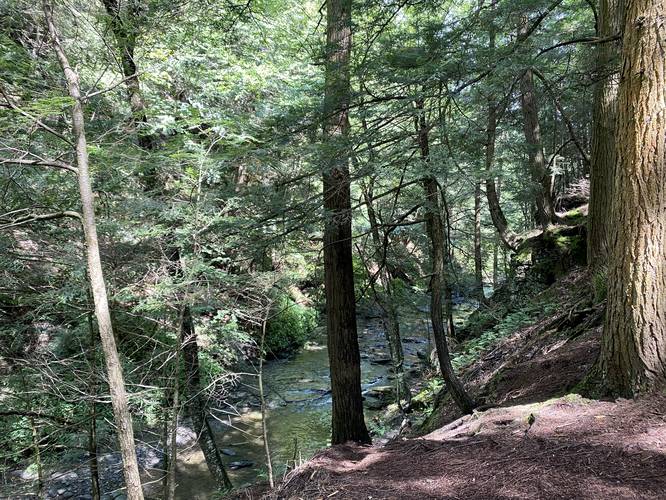 Rexford Falls Brook as seen from the ridge trail