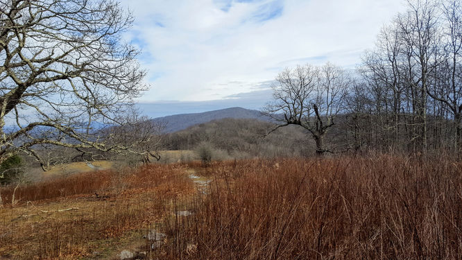 Picture 2 of Rich Mountain Hike 121116