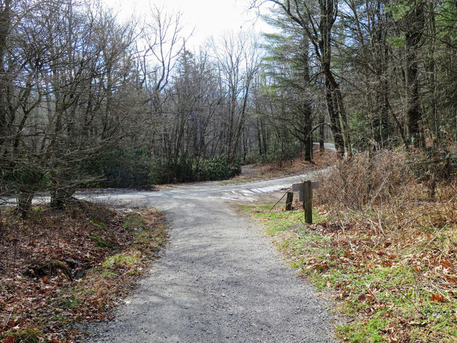 Picture 12 of Rich Mountain Hike 121116