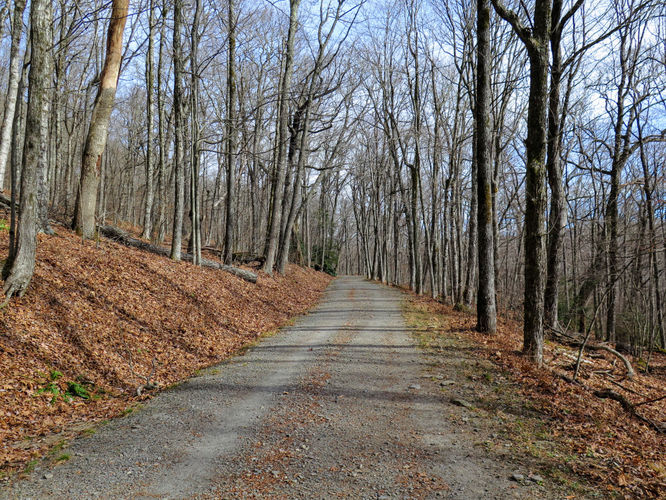 Picture 19 of Rich Mountain Hike 121116