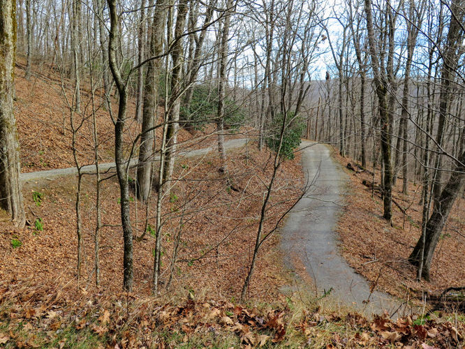 Picture 20 of Rich Mountain Hike 121116