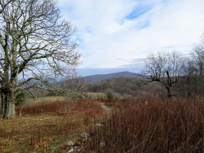 Picture 32 of Rich Mountain Hike 121116