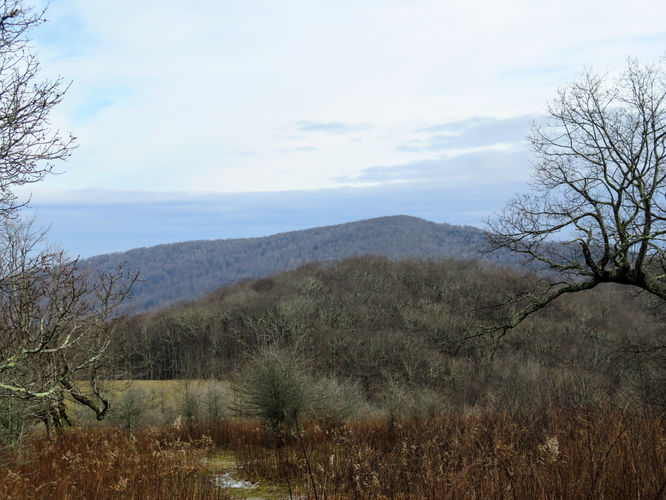 Picture 33 of Rich Mountain Hike 121116
