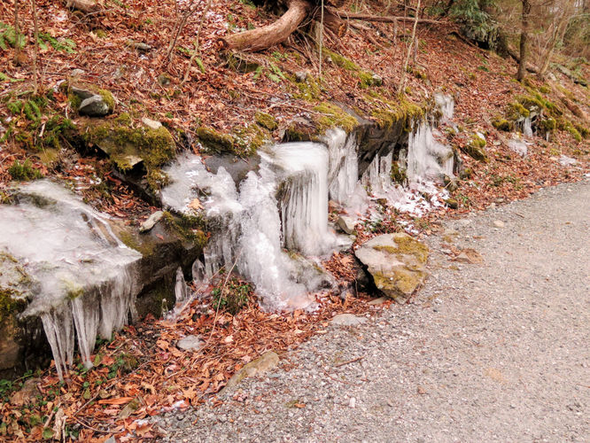 Picture 35 of Rich Mountain Hike 121116