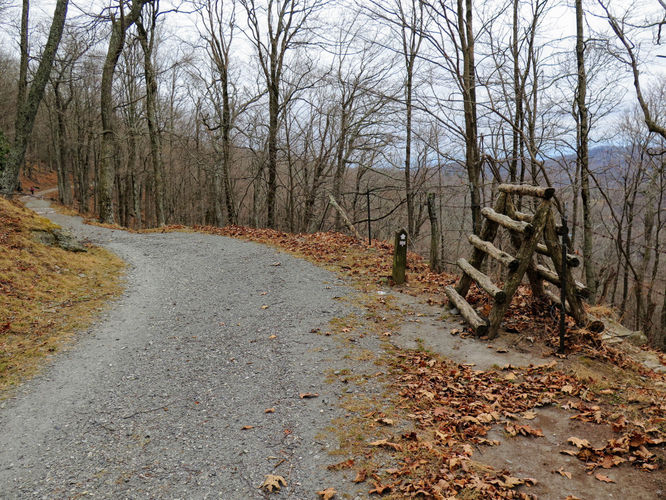 Picture 36 of Rich Mountain Hike 121116