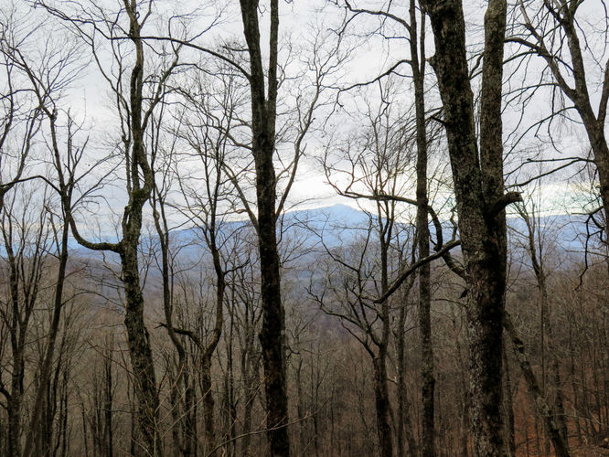 Picture 37 of Rich Mountain Hike 121116