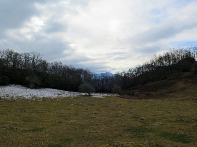 Picture 40 of Rich Mountain Hike 121116