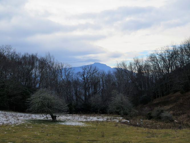 Picture 41 of Rich Mountain Hike 121116