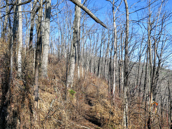 Picture 32 of Rich Mountain Lookout Tower Lovers Leap 121717