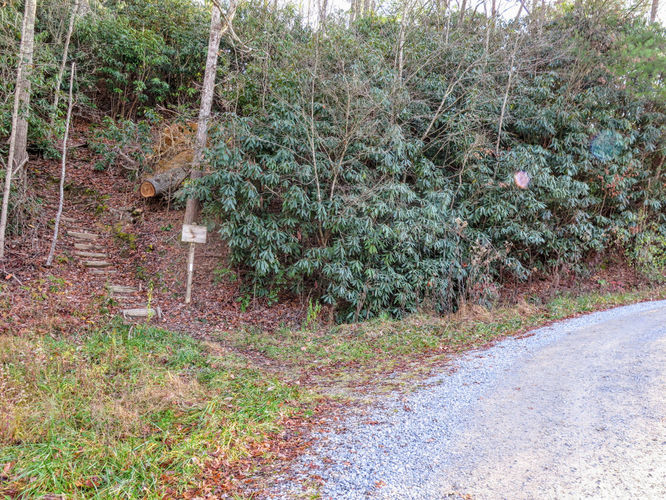 Picture 44 of Rich Mountain Lookout Tower Lovers Leap 121717