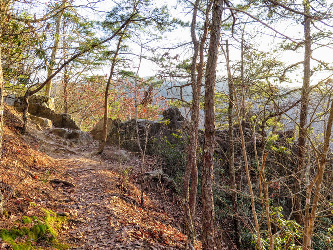 Picture 61 of Rich Mountain Lookout Tower Lovers Leap 121717