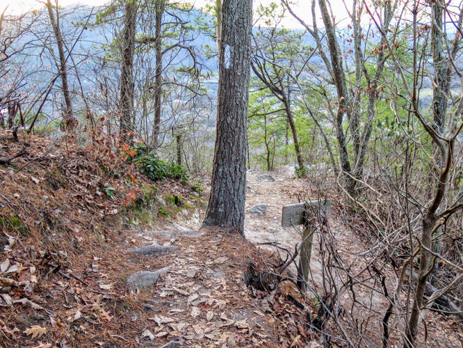 Picture 65 of Rich Mountain Lookout Tower Lovers Leap 121717